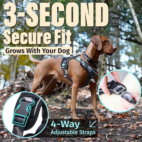 تسخير الكلب بدون شد مع حلقات D الأمامية والخلف ، و 600D Rebellent 600D Oxford للتنزه/التدريب/المشي ، والسترة القابلة للتعديل ، وأجهزة الألومنيوم خفيفة الوزن مناسبة للكلاب متوسطة الحجم ، والبرتقال التمويه ، والبرتقال. in Kuwait