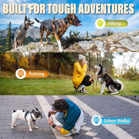 Dog Harness No-Pull with Front & Back D-Rings, Water-Repellent 600D Oxford for Hiking/Training/Walks, Reflective Adjustable Vest, Lightweight Aluminum Hardware Fit for Medium Sized Dogs,Camo Orange, M in Kuwait