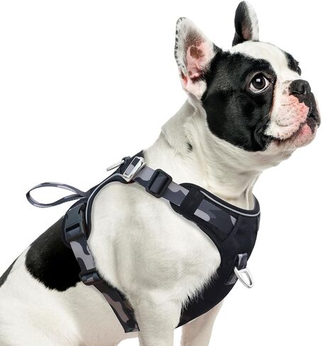 Dog Harness No-Pull with Front & Back D-Rings, Water-Repellent 600D Oxford for Hiking/Training/Walks, Reflective Adjustable Vest, Lightweight Aluminum Hardware Fit for Medium Sized Dogs,Camo Orange, M in Kuwait