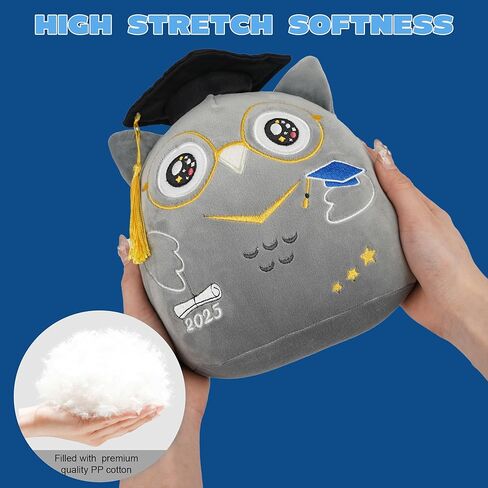 التخرج Axolotl Plush Toy: 8 بوصة 2025 Pink Axolotl محشو بالحيوان مع غطاء التخرج ، فئة لطيفة من 2025 ، هدايا التخرج للجامعة ، طلاب المدارس الابتدائية ، in Kuwait