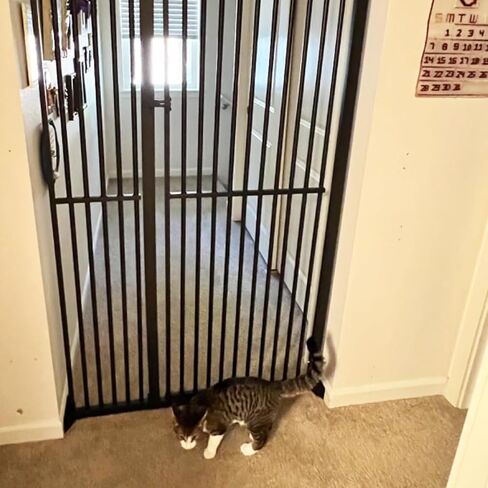SHYUJAJIE Extra Tall Cat Pet Gate Baby Gate Wide Pressure Mounted Walk Through Swing Safety Pet Gates Child Gate for Stairs, Doorway, House (71 * 42inch) in Kuwait