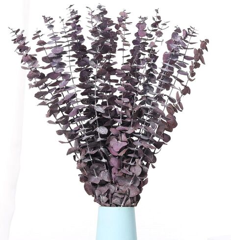 20 PCS Dried Eucalyptus Stems, 17'' Natural Real Live Red Eucalyptus Leaves Branches Hanging Shower, Preserved Fresh Eucalyptus Plant for SPA Home Fragrance Bathroom Table Vase Decor in Kuwait
