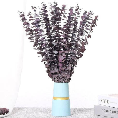 20 PCS Dried Eucalyptus Stems, 17'' Natural Real Live Red Eucalyptus Leaves Branches Hanging Shower, Preserved Fresh Eucalyptus Plant for SPA Home Fragrance Bathroom Table Vase Decor in Kuwait