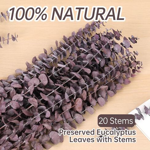 20 PCS Dried Eucalyptus Stems, 17'' Natural Real Live Red Eucalyptus Leaves Branches Hanging Shower, Preserved Fresh Eucalyptus Plant for SPA Home Fragrance Bathroom Table Vase Decor in Kuwait