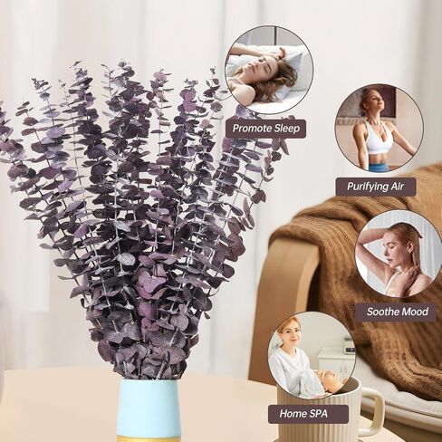 20 PCS Dried Eucalyptus Stems, 17'' Natural Real Live Red Eucalyptus Leaves Branches Hanging Shower, Preserved Fresh Eucalyptus Plant for SPA Home Fragrance Bathroom Table Vase Decor in Kuwait