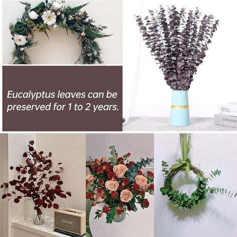 20 PCS Dried Eucalyptus Stems, 17'' Natural Real Live Red Eucalyptus Leaves Branches Hanging Shower, Preserved Fresh Eucalyptus Plant for SPA Home Fragrance Bathroom Table Vase Decor in Kuwait