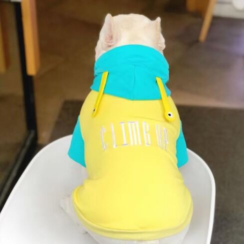 French Bulldog Funny Alien Halloween Costumes Hoodies Cute Outfits Cosplay Hoodie for Small Medium Dogs Frenchie Pug English Boston Puppy (XXX-Large) in Saudi Arabia