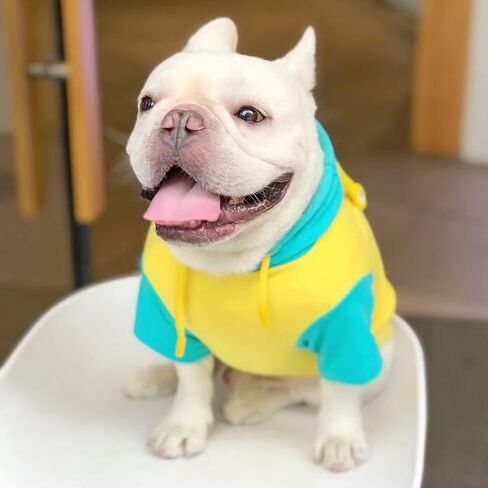 French Bulldog Funny Alien Halloween Costumes Hoodies Cute Outfits Cosplay Hoodie for Small Medium Dogs Frenchie Pug English Boston Puppy (XXX-Large) in Saudi Arabia