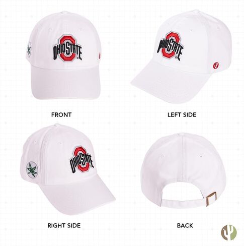 Desert Cactus The Ohio State University Baseball Hat OSU Buckeyes Brimmed Embroirderd Hats Cap Adjustable Cloth Strap Adult (Style R1) Red in Saudi Arabia