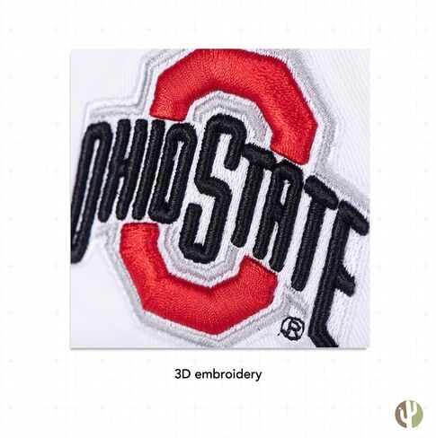Desert Cactus The Ohio State University Baseball Hat OSU Buckeyes Brimmed Embroirderd Hats Cap Adjustable Cloth Strap Adult (Style R1) Red in Saudi Arabia