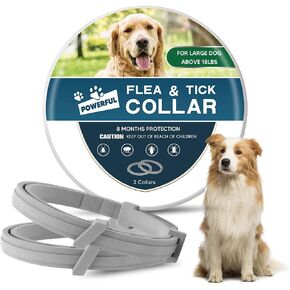 Collar for Dogs, Dogs Collar, Long Lasting Effectively-1P