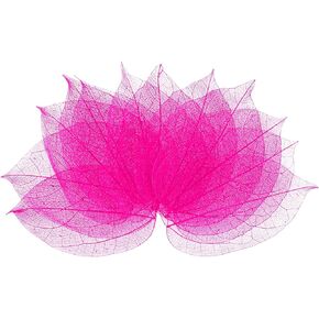M Meterxity 100 حزمة هيكل عظمي ، شجرة مطاطية طبيعية مجففة أوراق مضغوطة للرياح/DIY CRAFTS CARD/SCRAPTS/حفل زفاف ، أوراق صغيرة زخرفية [8-9 سم ، أسود]