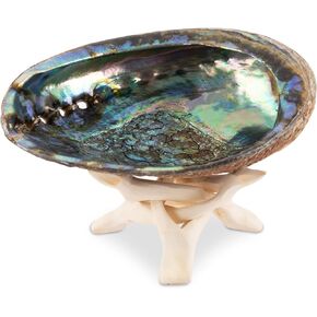 Natural Abalone Shell 6-6.5 Inch Large with Wooden Stand - Incense Holder and Sage Smudge Bowl for Cleansing, Smudging, and Meditation - Palo Santo Holder & Beautiful Home Decor
