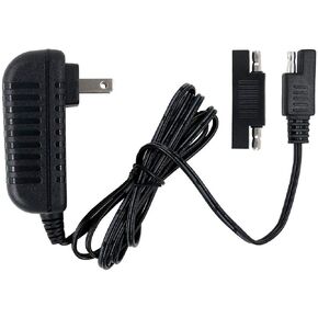 6V Replacement Charger Fit for Disney Quad Pacific Cycle Marvel The Avenger Good Dinosaur Princess Fairies Minnie Mouse Frozen CAR McQueen ATV 6V Battery Ride ON Walmart Target Toy R US