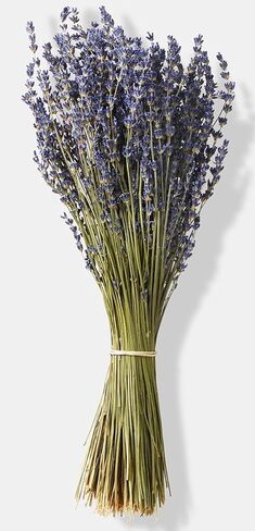 Lavender Bundle | 100% Natural Dried Lavender Flowers for Home Decoration | Home Fragrance Flower Arrangements in Saudi Arabia
