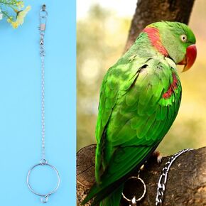Fdit Stainless Steel Anklet Pet Parrot Birds Foot Chain + Ring Toys for Pet Parrot Birds Silver(5.5mm)