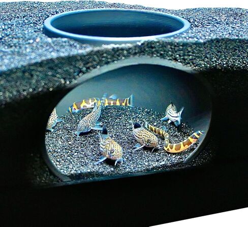 Aquarium Underground Cave Dome | Viewing Fish & Shrimp Under Gravel Tunnel | Fish Tank Decor Decoration Hideout Perfect for Corydora Catfish, Kuhli Loach, Clown Loach, Pleco in Saudi Arabia