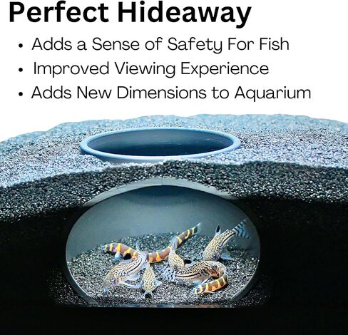 Aquarium Underground Cave Dome | Viewing Fish & Shrimp Under Gravel Tunnel | Fish Tank Decor Decoration Hideout Perfect for Corydora Catfish, Kuhli Loach, Clown Loach, Pleco in Saudi Arabia