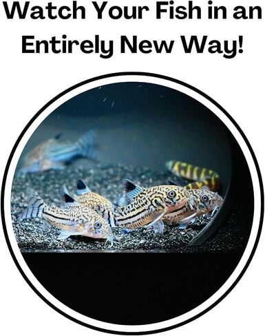 Aquarium Underground Cave Dome | Viewing Fish & Shrimp Under Gravel Tunnel | Fish Tank Decor Decoration Hideout Perfect for Corydora Catfish, Kuhli Loach, Clown Loach, Pleco in Saudi Arabia