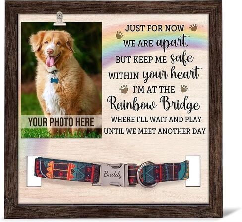 Pawfect House 9x9 IN Pet Picture Frame Memorial With Collar Holder, Loss Of Dog Sympathy Gift, In Loving Memory Of Cat Picture Frame, Dog Bereavement Gifts, Pet Memorial Gifts For Dogs in Saudi Arabia