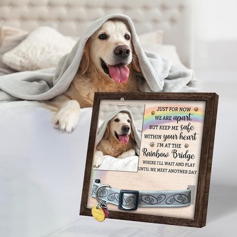 Pawfect House 9x9 IN Pet Picture Frame Memorial With Collar Holder, Loss Of Dog Sympathy Gift, In Loving Memory Of Cat Picture Frame, Dog Bereavement Gifts, Pet Memorial Gifts For Dogs in Saudi Arabia