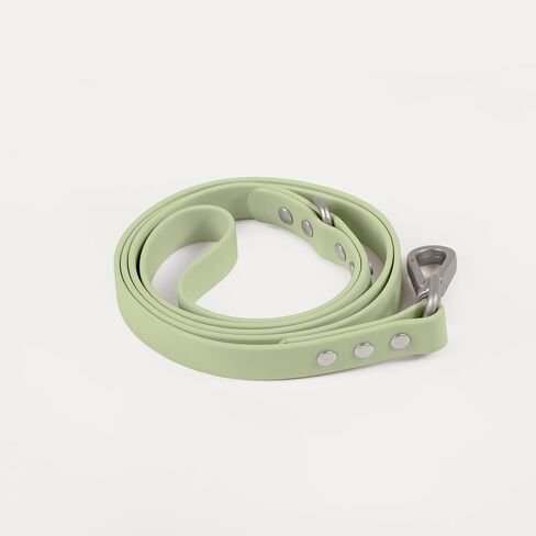 DIGGS Waterproof Dog Leash - Soft Coated Nylon Heavy Duty Dog Leash - Easy to Clean, Durable Puppy Lead - Standard 6ft, Ash in Saudi Arabia