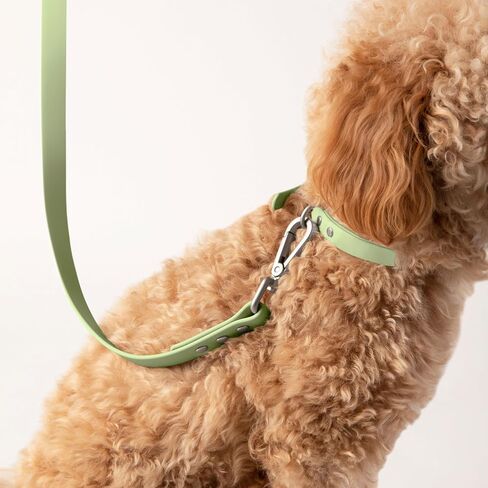 DIGGS Waterproof Dog Leash - Soft Coated Nylon Heavy Duty Dog Leash - Easy to Clean, Durable Puppy Lead - Standard 6ft, Ash in Saudi Arabia