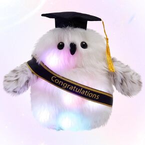 Graduation Stuffed Plush Owl Class of 2025，Light Up LED Night Light Glow Plush Stuffed Animal，Graduation Cap with Tassel Reward Celebration Grad Gift(10 inch)