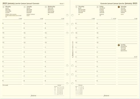 Filofax Malden Organizer, A5 Size, Ochre - Tactile, Full-Grain Buffalo Leather, Six Rings, Cotton Cream Week-to-View Calendar Diary, Multilingual, 2025 (C025847-25) in Saudi Arabia