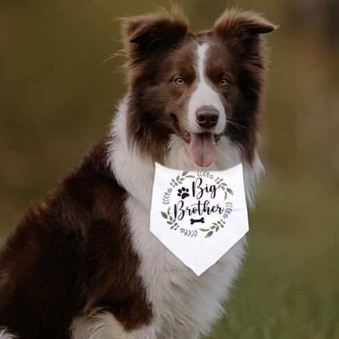 Big Brother Dog Bandana for Large Dogs Pregnancy Announcement Gifts for Friends Family First Time Moms Dads Gifts for Dogs Mom Dad Gifts for Men Women Pet Scarf for Dog Themed Party Supplies in Saudi Arabia