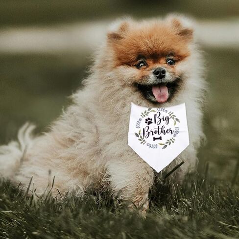 Big Brother Dog Bandana for Large Dogs Pregnancy Announcement Gifts for Friends Family First Time Moms Dads Gifts for Dogs Mom Dad Gifts for Men Women Pet Scarf for Dog Themed Party Supplies in Saudi Arabia