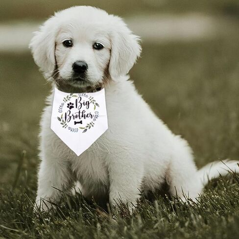 Big Brother Dog Bandana for Large Dogs Pregnancy Announcement Gifts for Friends Family First Time Moms Dads Gifts for Dogs Mom Dad Gifts for Men Women Pet Scarf for Dog Themed Party Supplies in Saudi Arabia