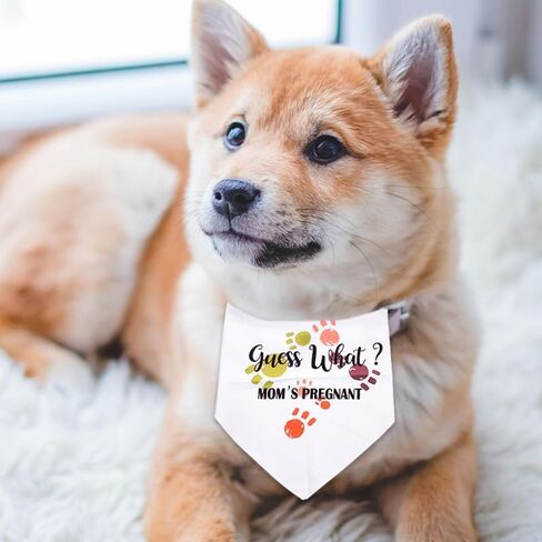 Big Brother Dog Bandana للكلاب الكبيرة ، هدايا إعلان الحمل للأصدقاء عائلة العائلة لأول مرة الأمهات الآباء هدايا للكلاب أمي أبي هدايا للرجال in Kuwait