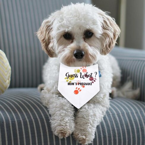 Big Brother Dog Bandana للكلاب الكبيرة ، هدايا إعلان الحمل للأصدقاء عائلة العائلة لأول مرة الأمهات الآباء هدايا للكلاب أمي أبي هدايا للرجال in Kuwait