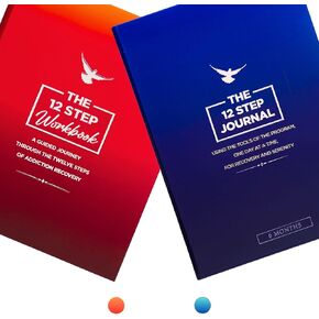 12 Step Journals The 12 Step Workbook and The Bundle