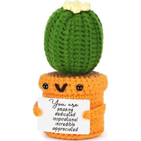 Agantree Art Crochet Cactus Homports for Women Men Men المقنن يدويًا ، يدعم التخرج من التخرج عيد ميلاد ، وتجذر لك ، له ، هو ، الابن ، الابن ، الأخت ، الصديق