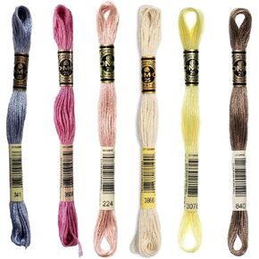 لوحة ألوان القطن DMC 6 -Strand التطريز - 6 Skeins of Thread - 8.7yd skeins - LT Blue Violet ، Plum LT ، Pink Shell جدًا ، Lt Mocha Brown جدًا ، أصفر Golden Golden ، Med Beige Brown