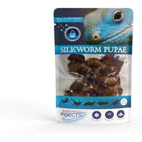 Jurassic Natural Silkworm Pupae Single Pack 0.53oz