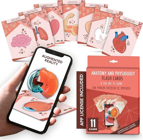 Anatomy Flash Cards, Anatomy and Physiology Flashcards for Kids, Augmented Reality, App Included, English and Spanish, A&P, Body Parts, Body Systems, Learning Tool, Study Tool, Learning Toy in Saudi Arabia