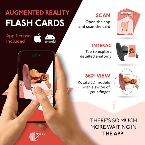Anatomy Flash Cards, Anatomy and Physiology Flashcards for Kids, Augmented Reality, App Included, English and Spanish, A&P, Body Parts, Body Systems, Learning Tool, Study Tool, Learning Toy in Saudi Arabia
