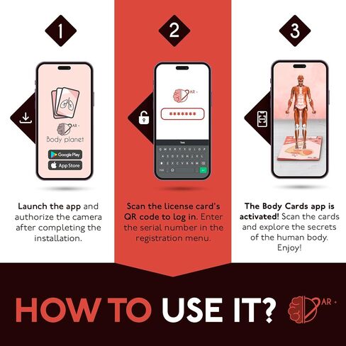 Anatomy Flash Cards, Anatomy and Physiology Flashcards for Kids, Augmented Reality, App Included, English and Spanish, A&P, Body Parts, Body Systems, Learning Tool, Study Tool, Learning Toy in Saudi Arabia