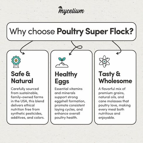 Mycelium Poultry Super Flock Food | High Protein Bird Food with Vitamins & Corn for Chicken, Turkey, Duck & Geese | Supports Growth, Egg Production, Feather & Immune Health | 5 lb Bag in Saudi Arabia
