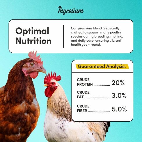 Mycelium Poultry Super Flock Food | High Protein Bird Food with Vitamins & Corn for Chicken, Turkey, Duck & Geese | Supports Growth, Egg Production, Feather & Immune Health | 5 lb Bag in Saudi Arabia