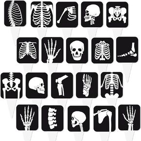 48pcs X Ray Cupcake Topcake Topcy Madiology Tech Tech Decorations Weech الأشعة السينية للأشعة الإشعاعية تخرج التكنولوجيا موضوع كب كيك يختار ديكورات لاستلواحات Rad Doctor الممرضة العظمية العظمية لحزب العظام