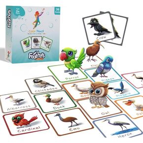 Feathers Flashcards - 36 Cards in a Box | Learn About Bird Feathers & Ornithology | Educational Gift for Kids Ages 2-4 | Baby Learning Cards, Educational, Preschool Learning