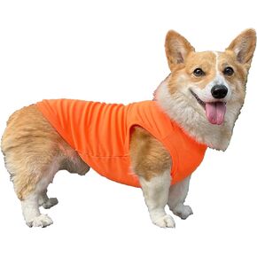 D Doggy Star Welsh Corgi Cloths for Dogs Stripe Cotton Thirts Substery Serpeless (4XL ، Mreen Stripe)