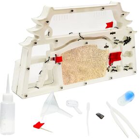 Ant Farm Castle,Ant Colony Habitat Observation Tool Kits,Bug Terrarium House,Nature Learning Toys, Education Science Kit
