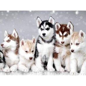 Husky 300 قطعة ألغاز بانوراما تحدي البالغين مناسبة مثل لعبة عائلة ديكور المنزل أو لعبة لتطوير الذكاء
