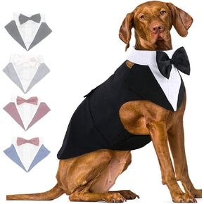 Black Dog Tuxedo Bowtie Wedding Outfit for Medium Dog Comple Oled Perfect Perfor