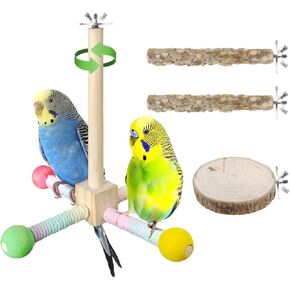8pcs ther berch ther berch ، parrot 360 ° التفاعلية الدوارة ، ألعاب ببغاء قفص الطيور الخشبية ، مناسبة للببغاوات cockatiels lovebirds conurs finches